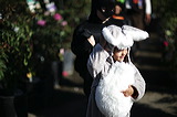 ../gs/Halloween_2005/preview/wh8c3400.jpg