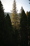 ../gs/Yosemite_Trip_October_2005/preview/img_0327.jpg