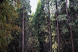 ../gs/Yosemite_Trip_October_2005/preview/img_0330.jpg