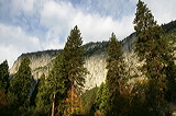 ../gs/Yosemite_Trip_October_2005/preview/wh8c0266.jpg
