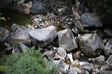 ../gs/Yosemite_Trip_October_2005/preview/wh8c0357.jpg