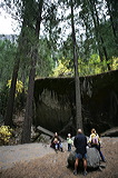 ../gs/Yosemite_Trip_October_2005/preview/wh8c0442.jpg