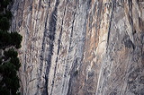 ../gs/Yosemite_Trip_October_2005/preview/wh8c0739.jpg